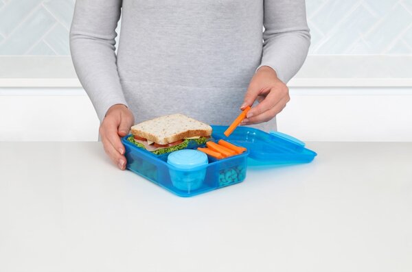 Sistema Dělený svačinový box Lunch Bento s nádobou na jogurt a 2 tácky 1,65 l, modrá
