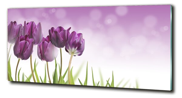 Fotoobraz na skle Fialové tulipány osh-52340543
