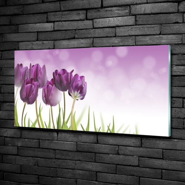 Fotoobraz na skle Fialové tulipány osh-52340543