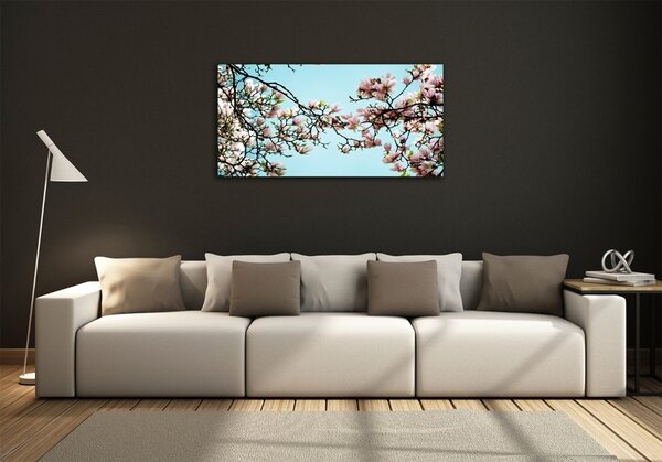 Fotoobraz na skle Květiny magnolie osh-52445180