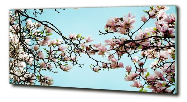 Fotoobraz na skle Květiny magnolie osh-52445180