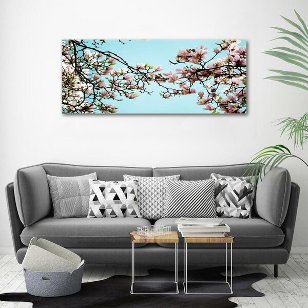 Fotoobraz na skle Květiny magnolie osh-52445180