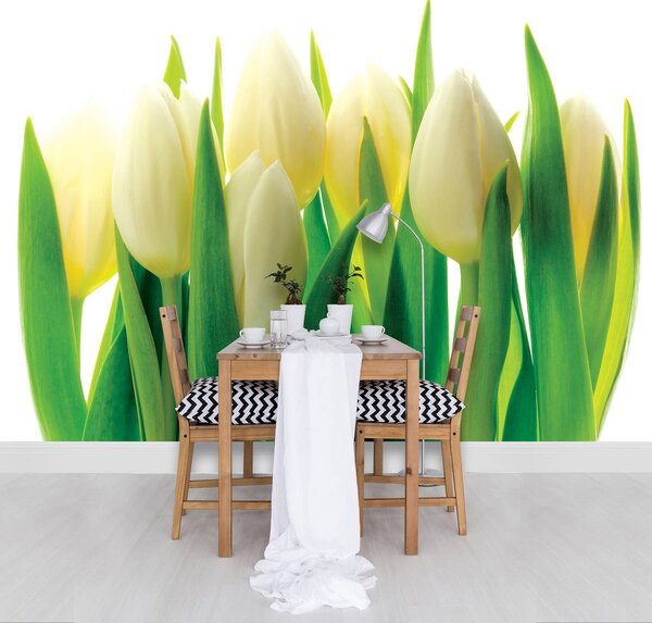Fototapeta - Abstraktní květinové umění (152,5x104 cm)