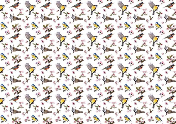 Fototapeta - Ptáčci a květinový vzor (152,5x104 cm)