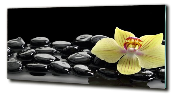 Foto obraz sklo tvrzené Orchidej osh-53476359