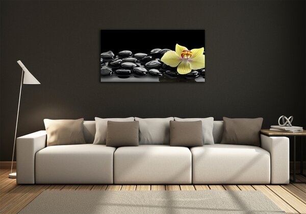 Foto obraz sklo tvrzené Orchidej osh-53476359
