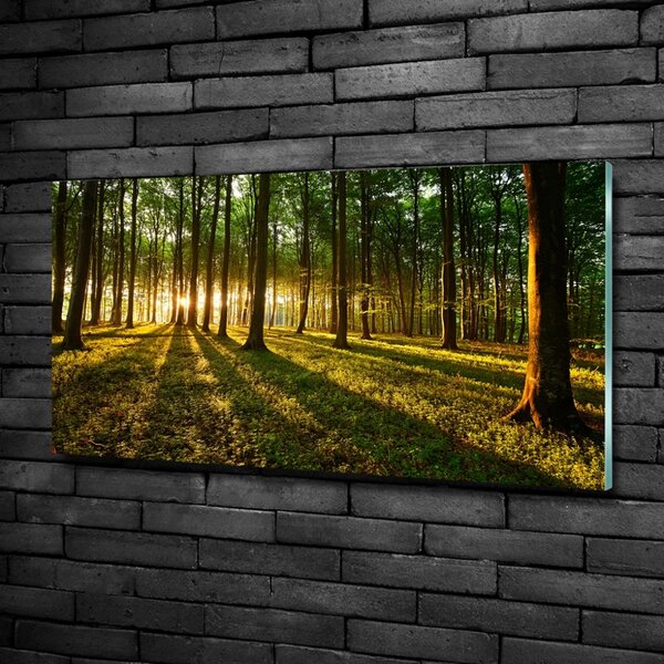 Foto obraz fotografie na skle Sluneční paprsky osh-53546475