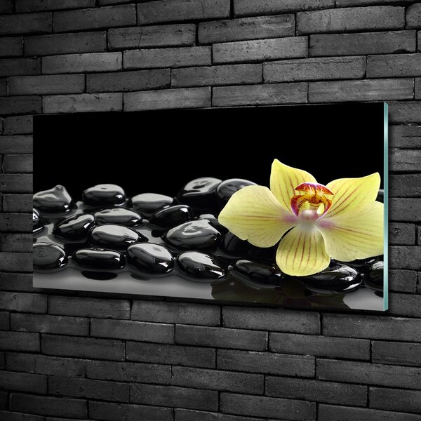 Foto obraz sklo tvrzené Orchidej osh-53476359