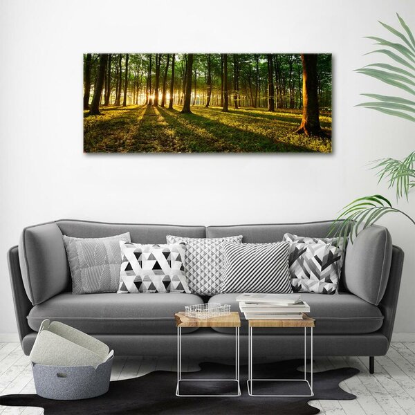 Foto obraz fotografie na skle Sluneční paprsky osh-53546475