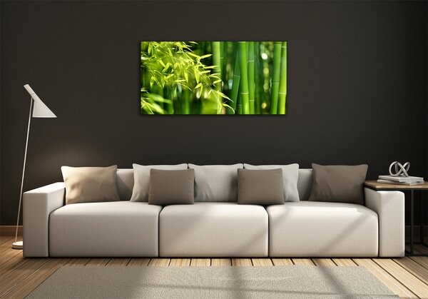 Foto obraz sklo tvrzené Bambus osh-53968302
