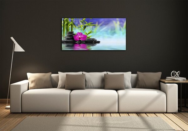 Moderní foto obraz na stěnu Orchidej bambus osh-54557063