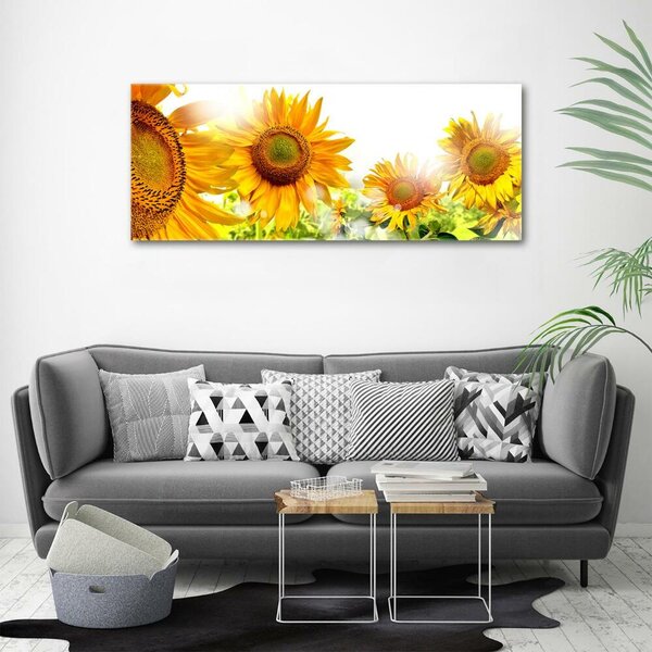 Foto obraz skleněný horizontální Slunečníky osh-55126306