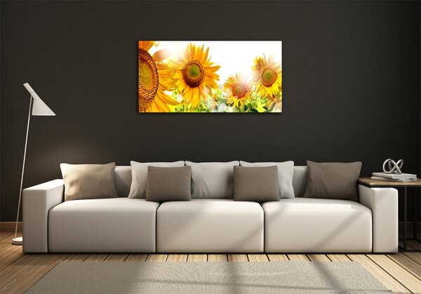 Foto obraz skleněný horizontální Slunečníky osh-55126306