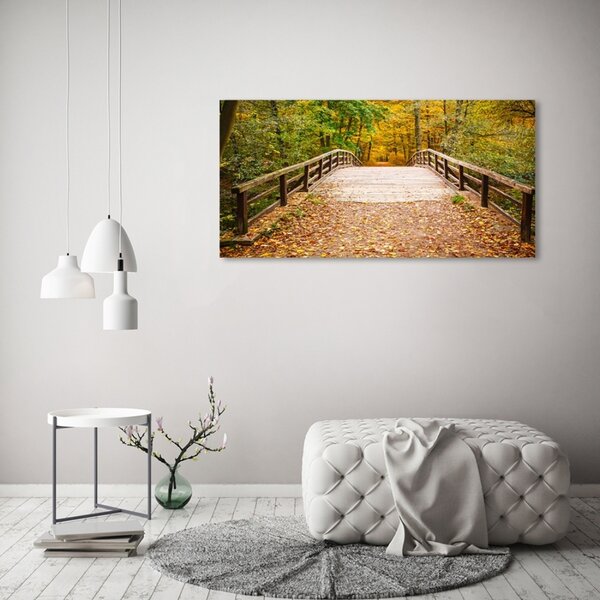 Moderní foto obraz na stěnu Most v lese podzim osh-55256739