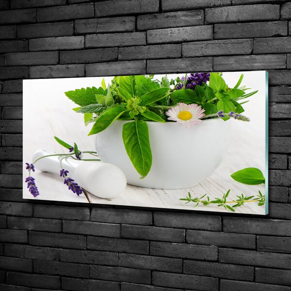 Foto obraz fotografie na skle Hmoždíř a bylinky osh-55313221