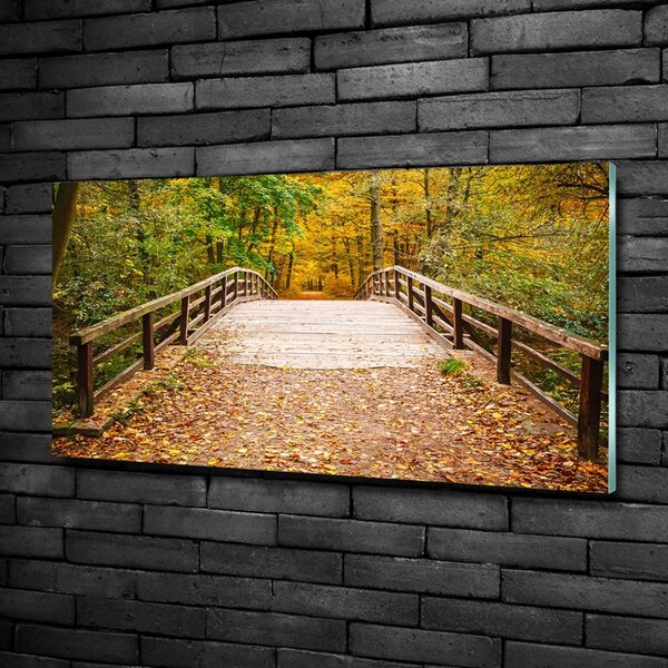 Moderní foto obraz na stěnu Most v lese podzim osh-55256739
