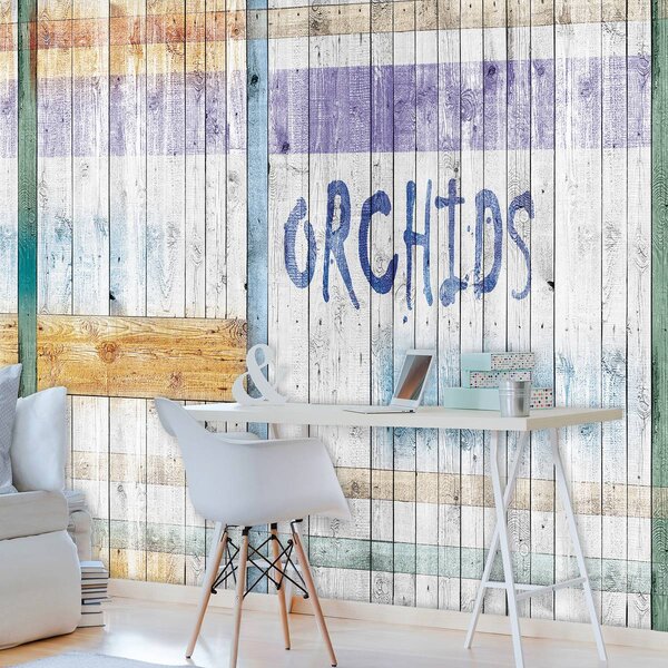 Fototapeta - Orchideje (152,5x104 cm)