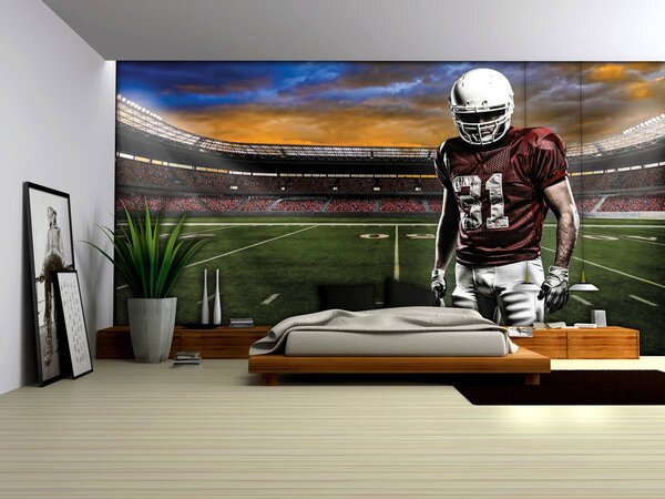 Fototapeta - Americký fotbalový stadion (152,5x104 cm)