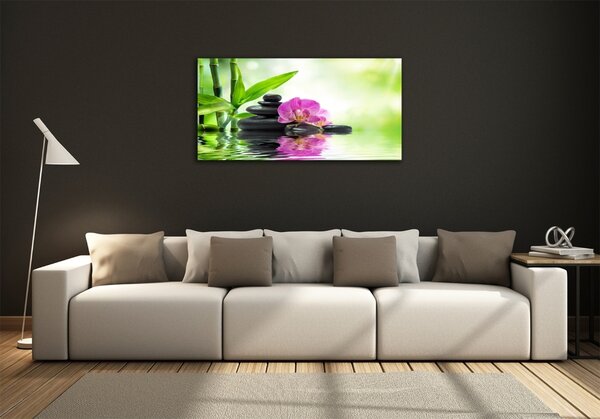 Fotoobraz na skle Orchidej osh-57168498