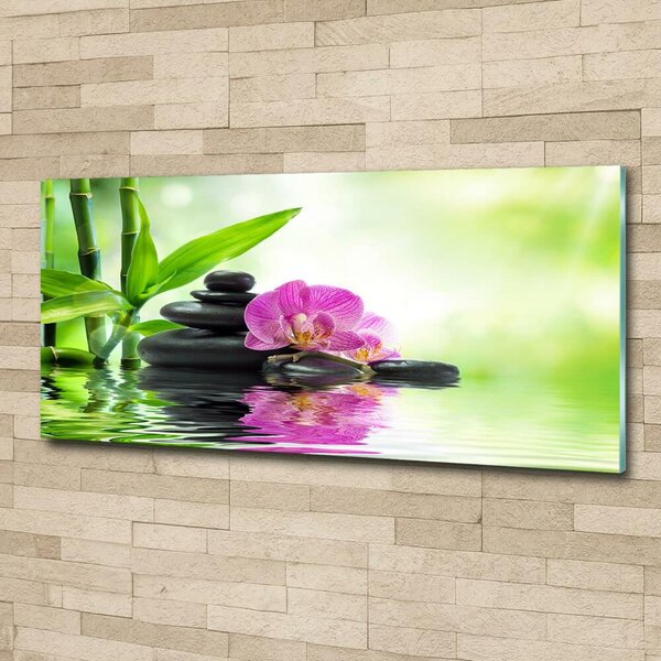 Fotoobraz na skle Orchidej osh-57168498