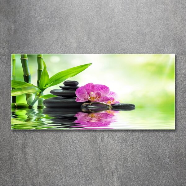 Fotoobraz na skle Orchidej osh-57168498