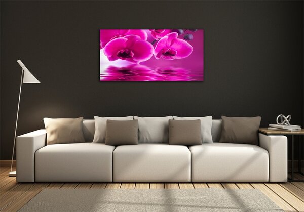 Fotoobraz na skle Orchidej osh-58002130