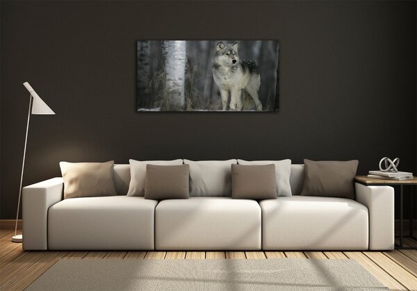 Foto obraz fotografie na skle Šedý vlk osh-57875164