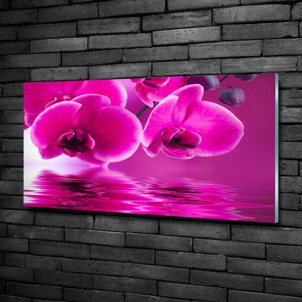 Fotoobraz na skle Orchidej osh-58002130