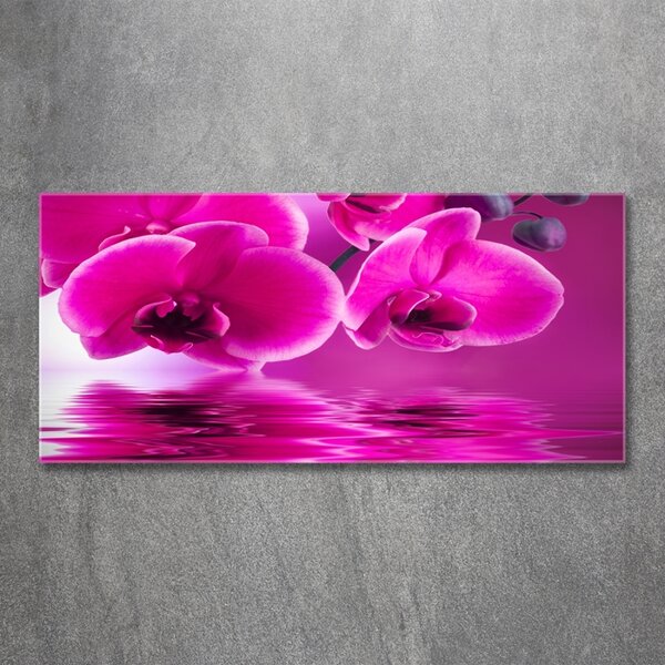 Fotoobraz na skle Orchidej osh-58002130