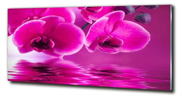 Fotoobraz na skle Orchidej osh-58002130