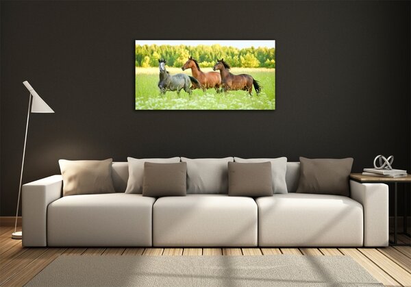 Foto obraz sklo tvrzené Koně ve cvalu osh-58845191