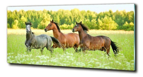 Foto obraz sklo tvrzené Koně ve cvalu osh-58845191