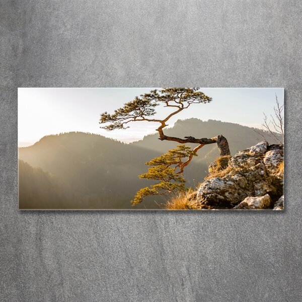 Fotoobraz na skle Sokolice Pieniny osh-59943899