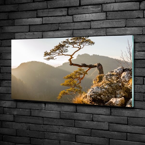 Fotoobraz na skle Sokolice Pieniny osh-59943899