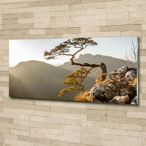 Fotoobraz na skle Sokolice Pieniny osh-59943899