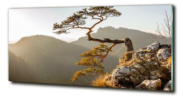 Fotoobraz na skle Sokolice Pieniny osh-59943899