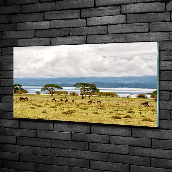 Foto obraz fotografie na skle Jezero Naivasha osh-60219348