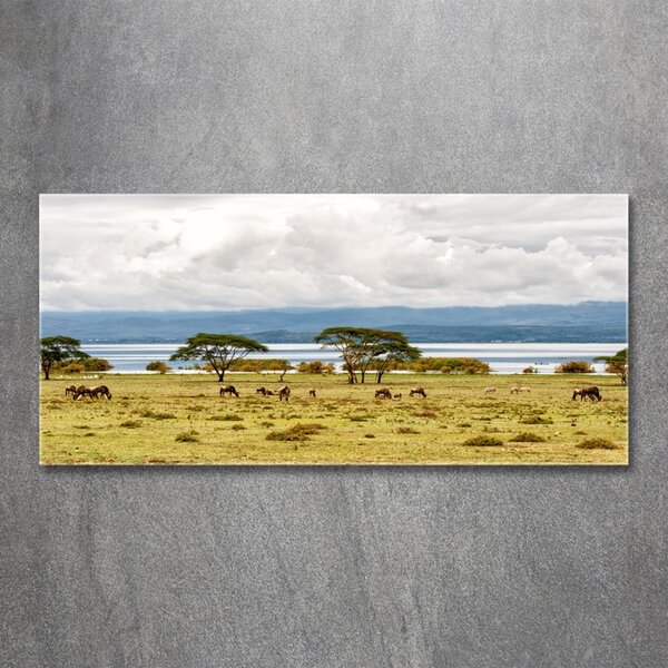 Foto obraz fotografie na skle Jezero Naivasha osh-60219348