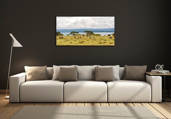 Foto obraz fotografie na skle Jezero Naivasha osh-60219348