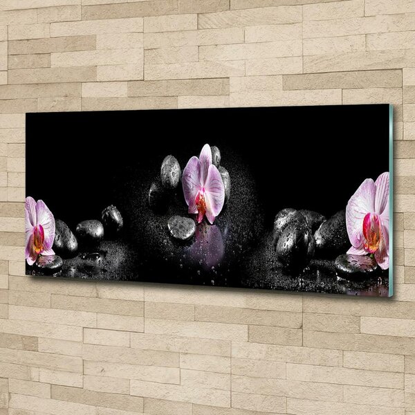 Foto-obrah sklo tvrzené Orchidej osh-60629892
