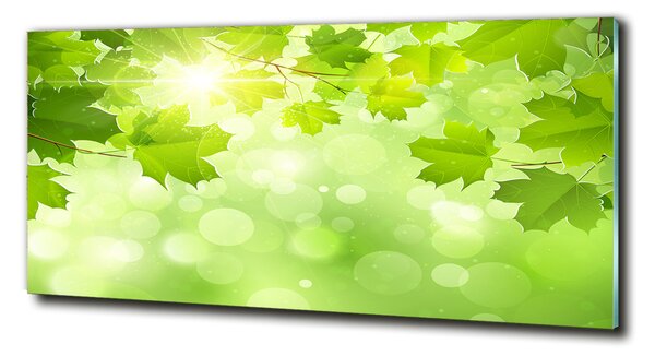 Foto obraz sklo tvrzené Listí kaštanu osh-61080240