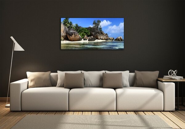 Fotoobraz na skle Seychely panorama osh-61342211
