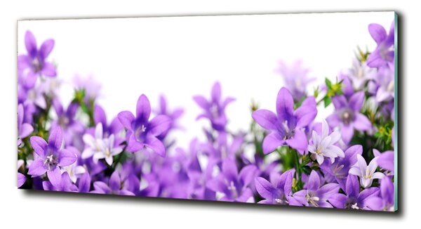 Fotoobraz na skle Fialové zvonky osh-61481460