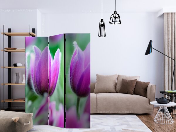 Paraván - Purple spring tulipány [Room Dividers]