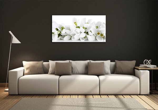 Foto-obraz fotografie na skle Prvosenky osh-61615324