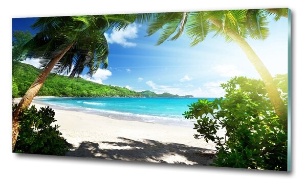 Moderní skleněný obraz z fotografie Seychely pláž osh-61788906