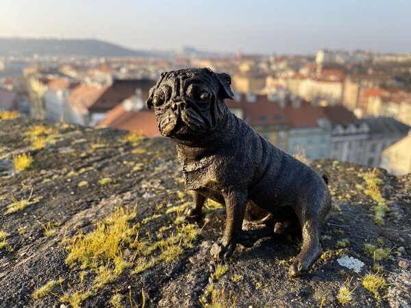 Bronzová socha soška - MOPS