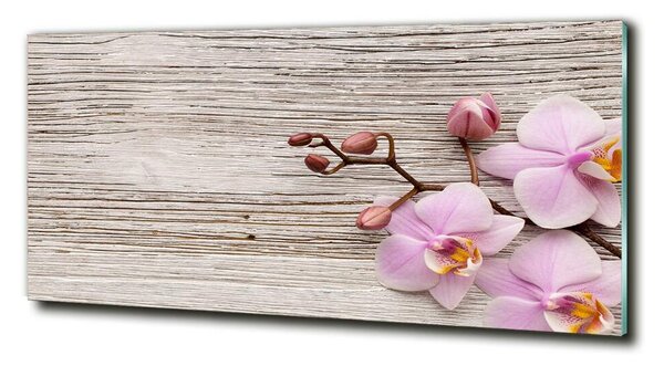 Moderní skleněný obraz z fotografie Orchidej a na stromě osh-62495656