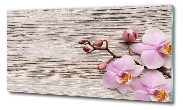 Moderní skleněný obraz z fotografie Orchidej a na stromě osh-62495656
