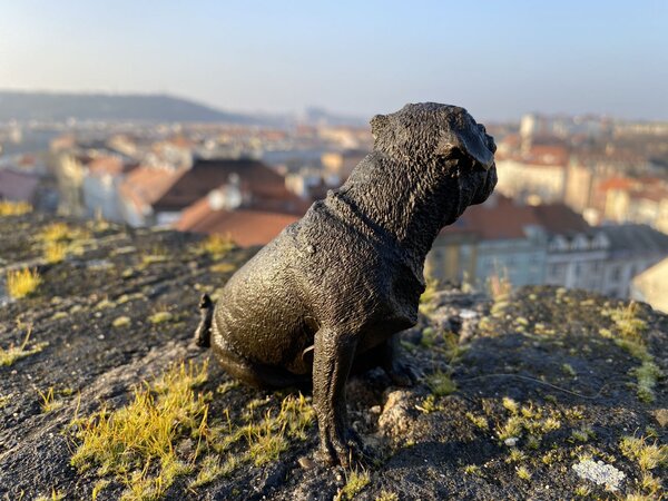 Bronzová socha soška - MOPS